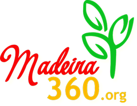 Visit Madeira with a 360° view.